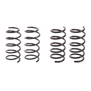 Kit Espirales Traseros Y Delanteros Clio 2 Delantero MOTOR 1,6 / 1,9 Reforzado GNC